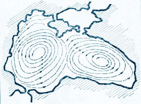Течения Черного моря Течения Черного моря