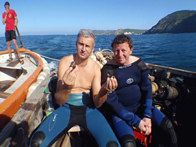 Мидии на Утрише Мидии на Утрише