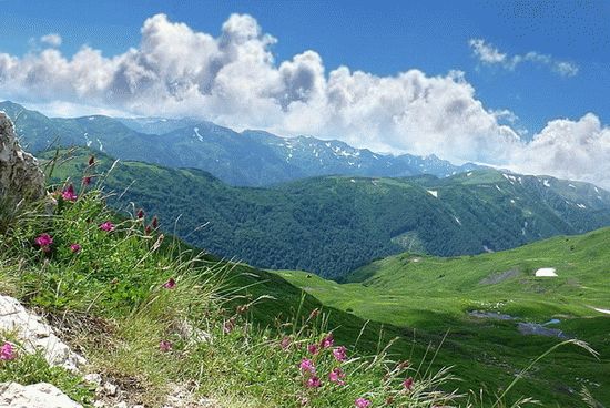 Природа Краснодарского края Природа Краснодарского края