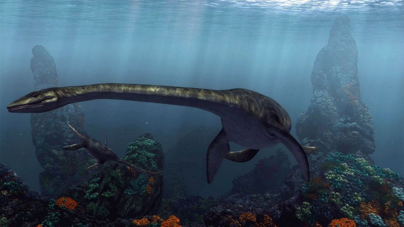 Доисторические обитатели морей Доисторические обитатели морей