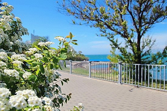 Туры на Черное море в Анапу Туры на Черное море в Анапу