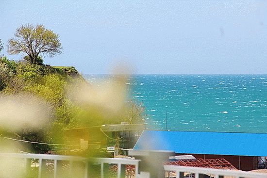 Черное море Черное море