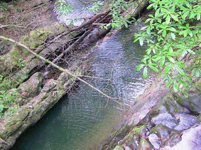 Река Мацеста Река Мацеста