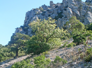 Заповедники Крыма