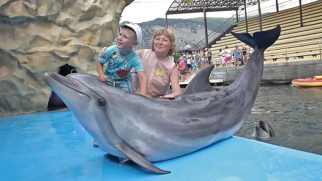Дельфинарий в Анапе Дельфинарий в Анапе