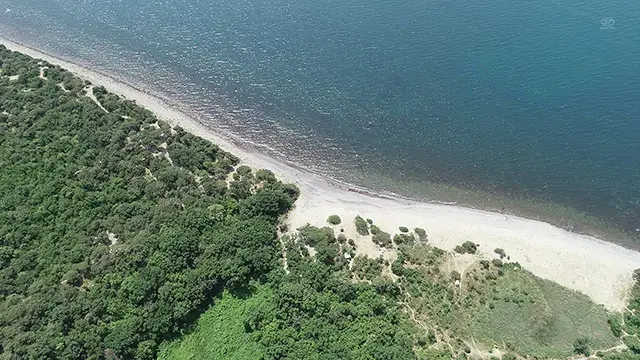 Климат Анапы Климат Анапы